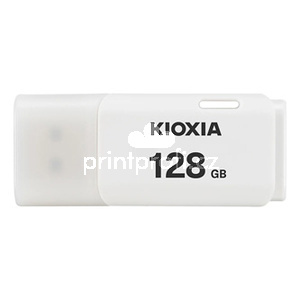 Kioxia USB flash disk, USB 2.0, 128GB, Hayabusa U202, Hayabusa U202, bl, LU202W128GG4